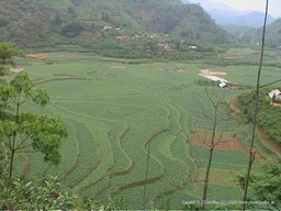 NW Vietnam Countryside