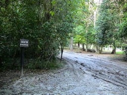 Muddy road to Uaxactun.