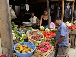 Fruit Market, Flores
