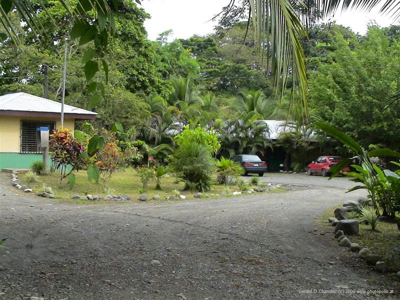 Cabinas Iguana, Iguana, Puerto Jimenez