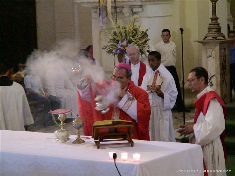 Bishop celebrating Palm Sunday mass