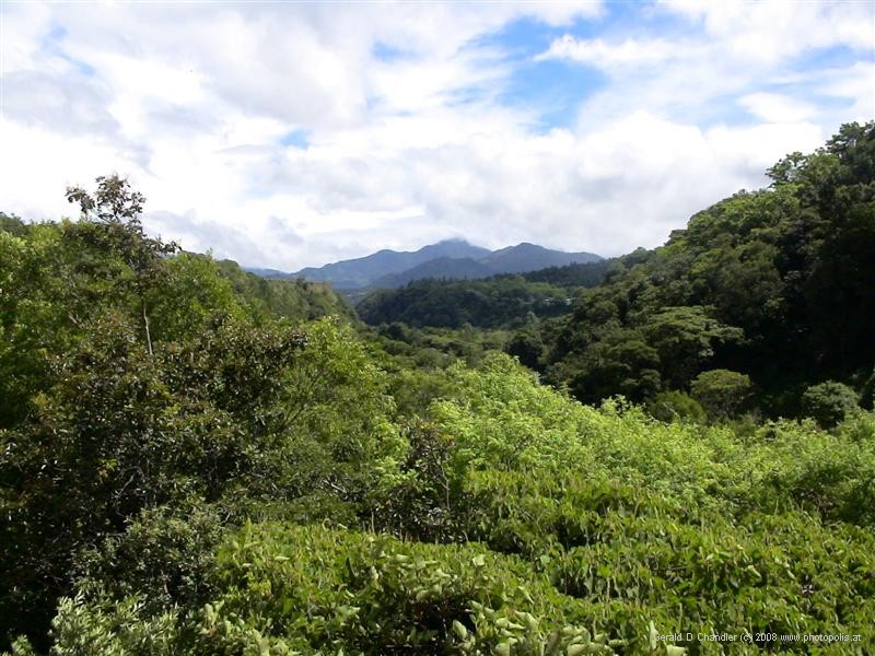 Mountain Views near Santa Fe, Panama