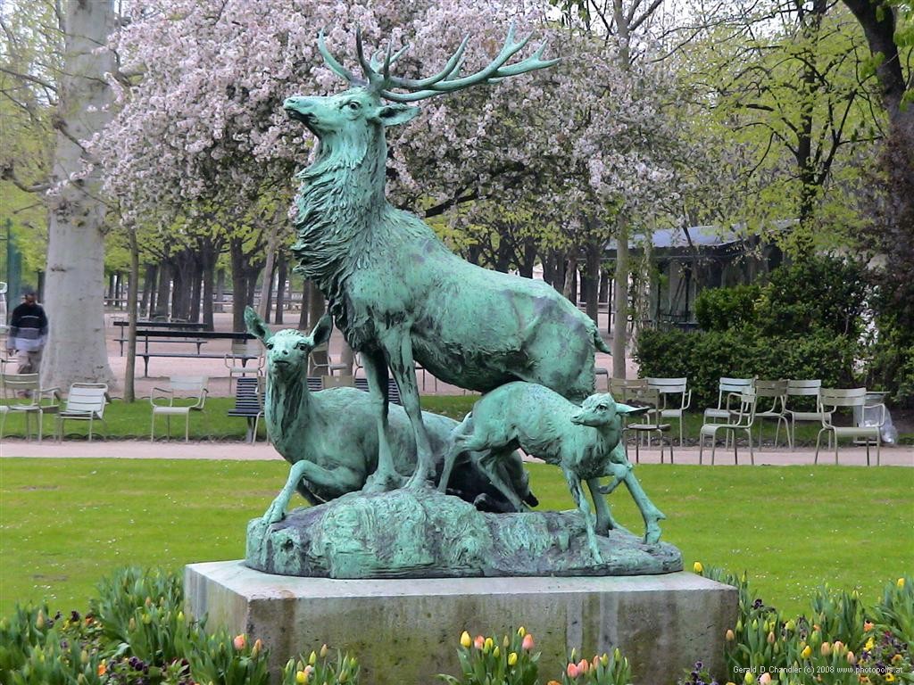 Stag, Deer, and Doe in Luxembourg Gardens