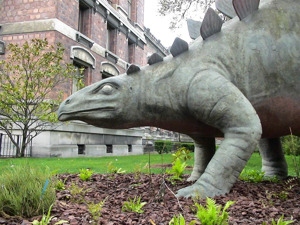 Dinosaur, Jardin des Plantes