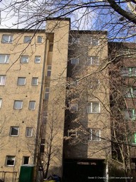Rear of our Apartment Building