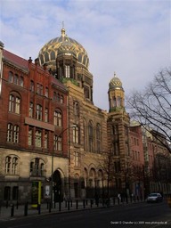 The New Synagogue