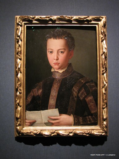 Wonderful Bronzino