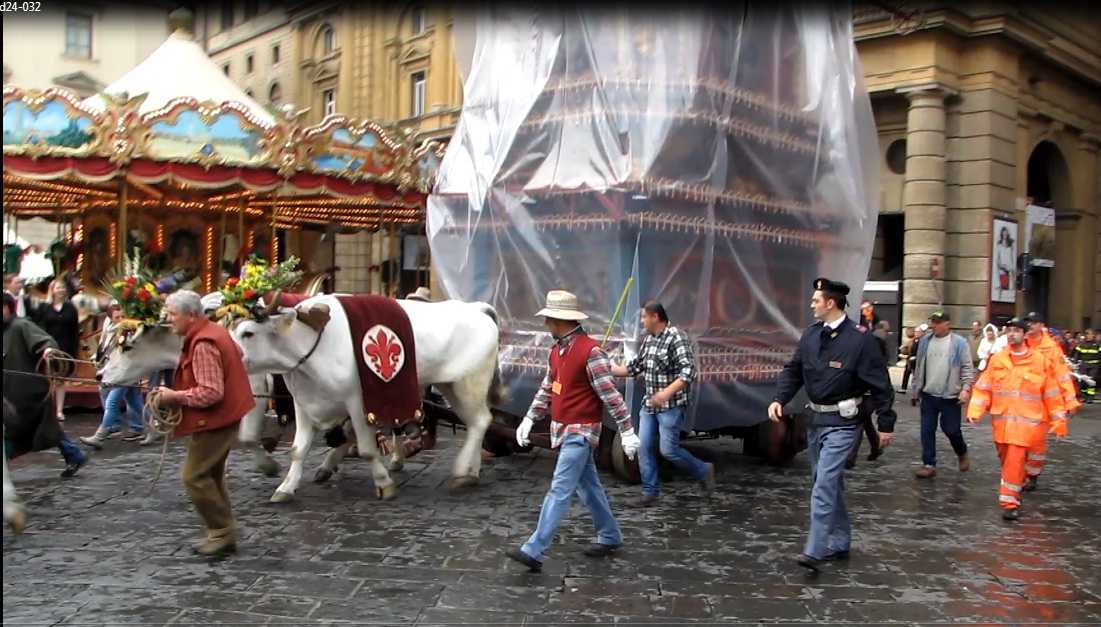 White Oxen and Scoppio Carro heading to Duomo
