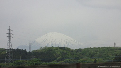 Fuji View from Bus