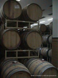 The Casa Madero Winery