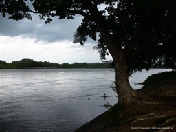 The Magdelena River