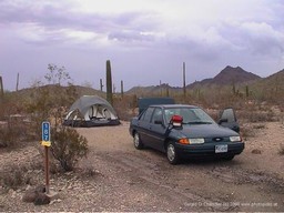 Car in campground, Organ Pipe Cactus NP