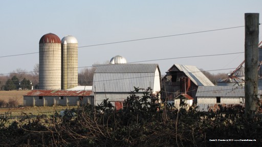 Clarksville remnant farm