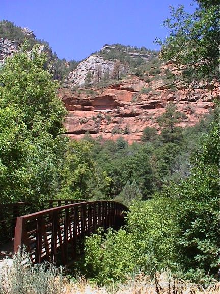 Bridge into canyon walk
