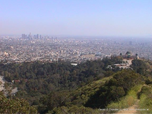 View from Mt Hollywood in Griffith Park of Observatory, downtown, and southern plain