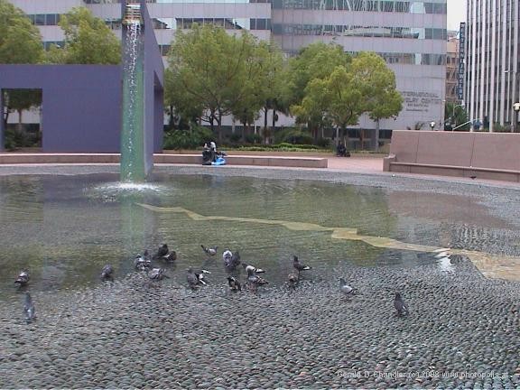 Downtown Pershing Square - Fountain and Pigeons