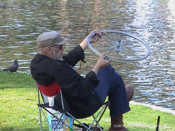 Echo Park; man with beard examining bicycle wheel