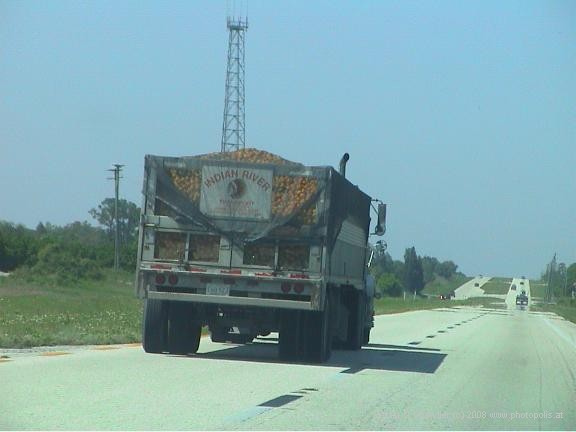 Truck with harvested Oranges,FL highway