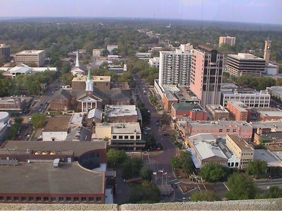 Tallahassee as seen from top of new Capital tower