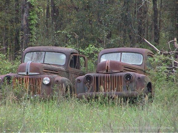 Two junk cars in a weedy field